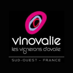 logo VINOVALIE